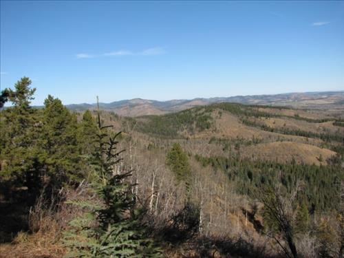 View to Mesa Butte from the Pine Ridge trail View to Mesa Butte from the Pine Ridge trail