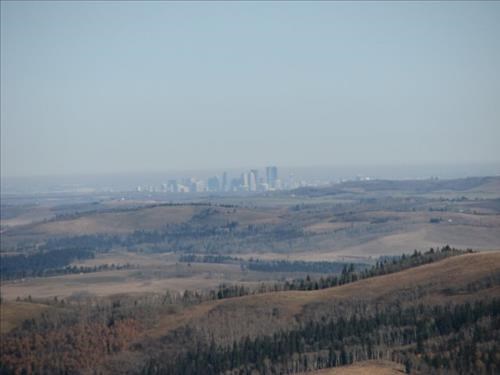 View to downtown Calgary from Pine Ridge View to downtown Calgary from Pine Ridge