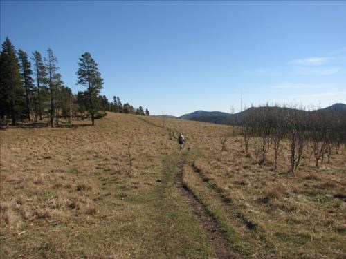 Hiking Long Prairie Ridge Hiking Long Prairie Ridge
