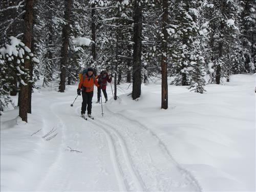 {444 Nancy Earle} & {206 Barb Mitchell} near Pipestone Pond