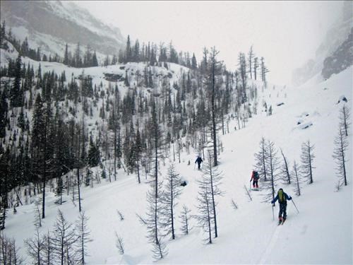 {1649 ED Roe}, {168 Sim Gall} and {1456 Clif Pot} heading for our first run off knoll left of photo.