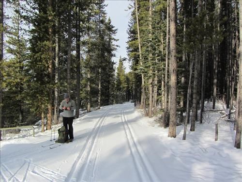 {1149 Bernie Rosner} beside the nice tracks on Wheeler trail