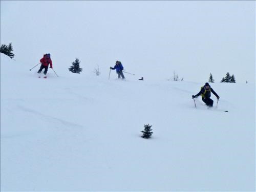 John, Clifton and David on east slope of Richardson Ridge