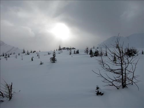 The sun breaking through