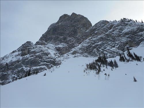 Christine and Chip deskinning