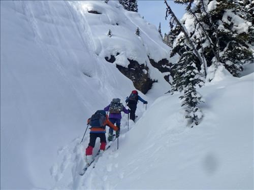 Where NOT to go to get to Bourgeau Meadows