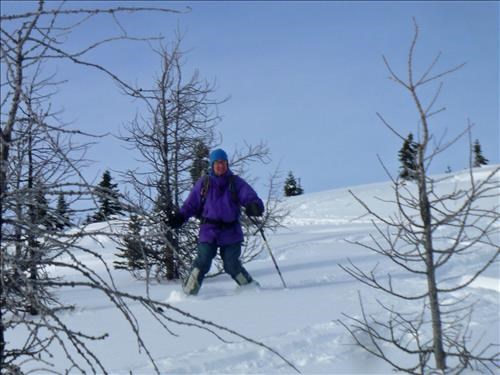 David on tele skis in Bourgeau Meadows