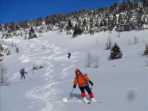Skiing down to Healy Meadows