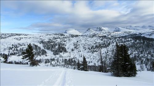 Looking across to the SE slopes of Bourgeau Meadows