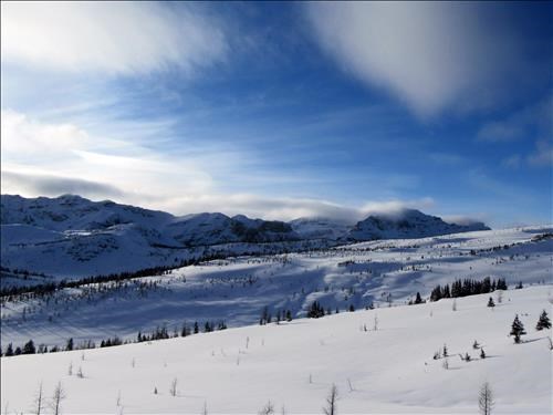 Sunshine and great snow at Healy Pass 