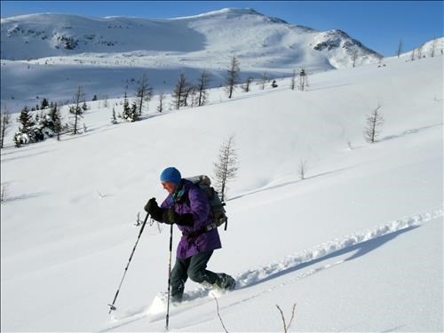 Dave making teleturns down to Healy Pass