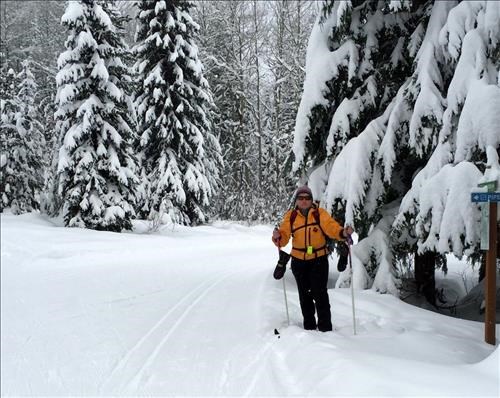 Maria at Blackjack Track set trails, Rossland BC
