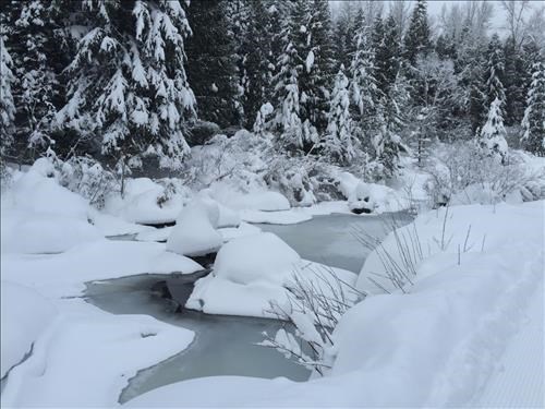 Beaverhill Pond - Blackjack Trail