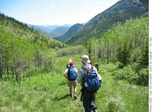 Gunnery Creek valley
