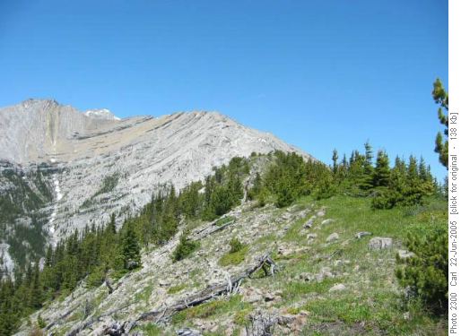 Gunnery Mt. summit