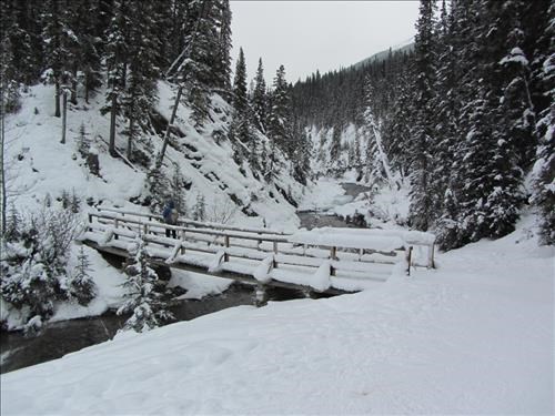 Goat Creek bridge