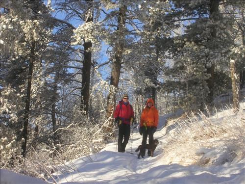 {177 Ron Hunter}, {607 Damian Gannon} and Spektor