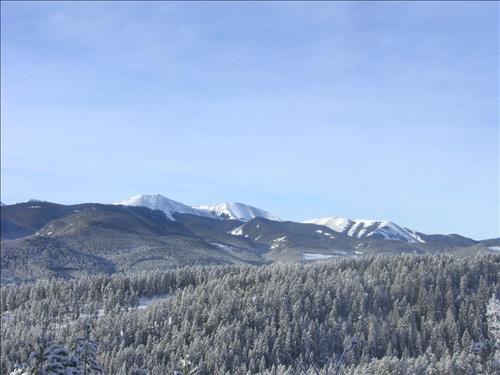Moose Mountain from Long Distance Trail