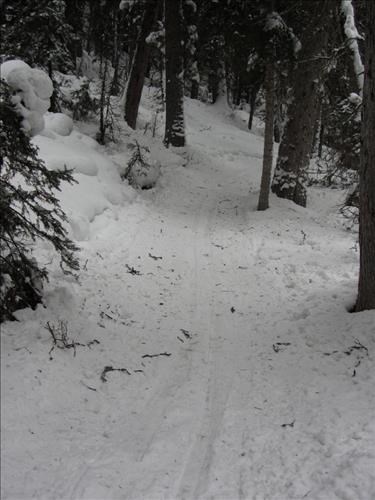 debris and crunchy conditions on Fox Creek trail