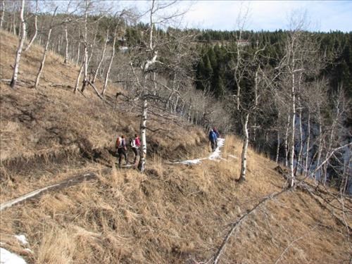 Hiking Bobcat Trail in the late January sun