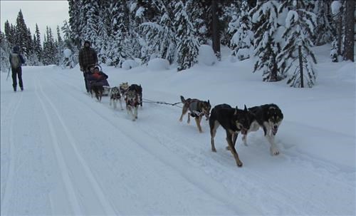 Traffic on the Great Divide trail
