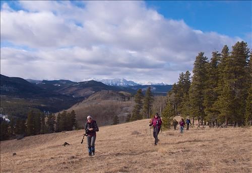 Ascending the Eastern Sandy McNabb Hill, Blue Rock Mountain on the horizon