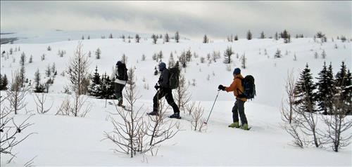 Touring To Purple Peak Slopes