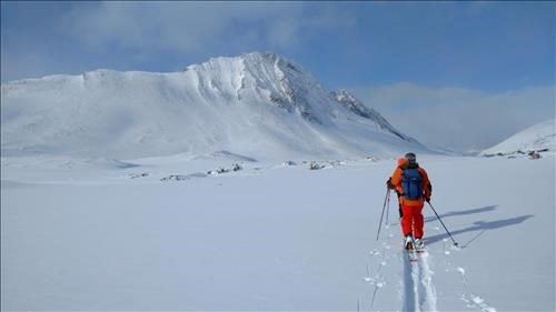 Ramblers skiing towards Mt Wilcox