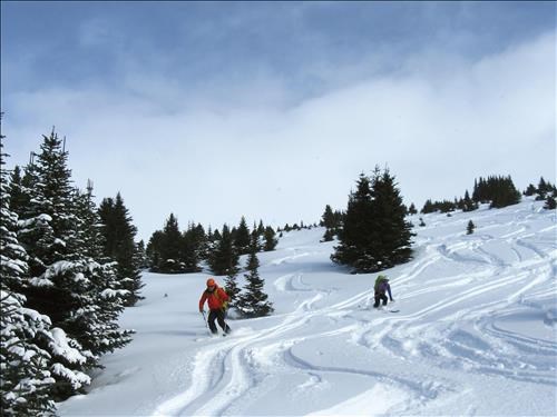 Good snow on the lower slopes of the glades