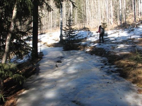 "World Class Ice Flows" on Fullerton Loop