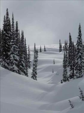 Blanket Glacier view