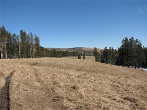 The Long Prairie