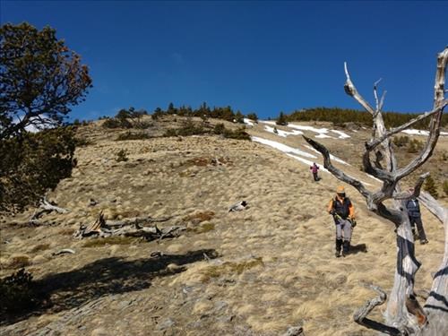 Lower down on the east ridge of Bull Creek Hills