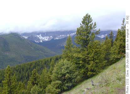 Highwood Range