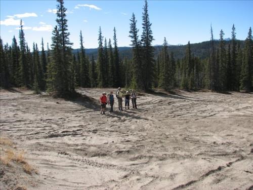 On the Aura Creek sand dunes