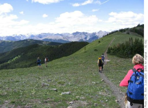 Cox Hill summit ridge