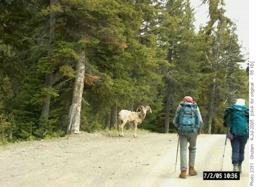 6th. Hiker Next to Wally