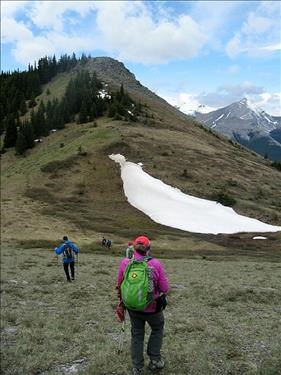 Along the ridge 