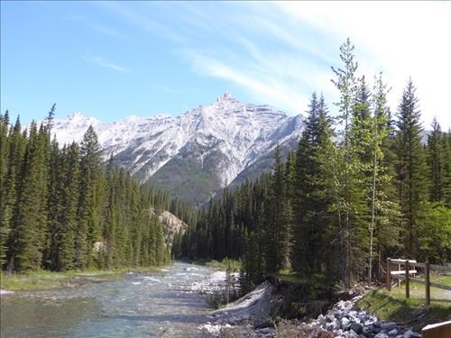 Goat Creek view