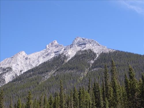 Goat Creek