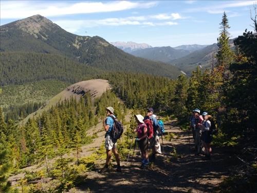 Group on the old exploration road.