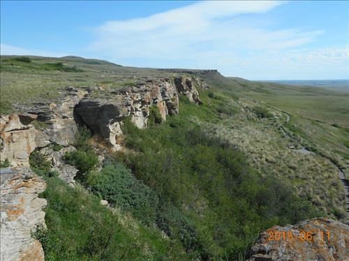 Buffalo Jump
