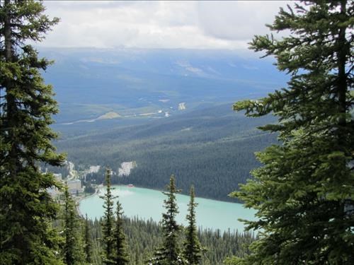 Lake Louise from Lake Agnes trail