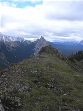 South view from end of ridge