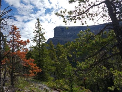 Windtower from the lower part of the trail.