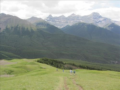 Descending the lush meadows of Pigeon Mtn, 4 peaks of Lougheed in distance.