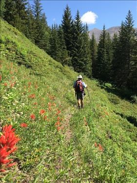 Carl crossing one of the flowered slopes along Picklejar Creek