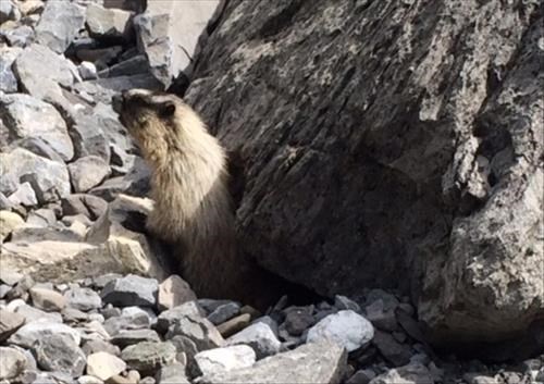 Local resident at entrance to one of his/her residences