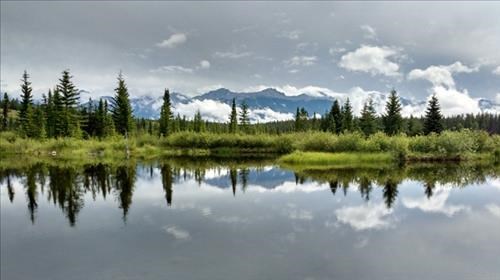 Mina-Riley Loop (Jasper)