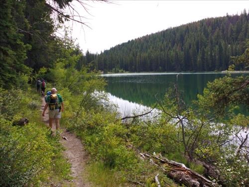 Mina-Riley Loop (Jasper)